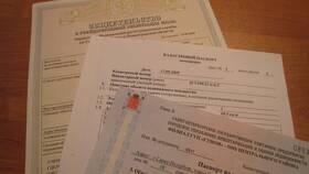 Что делать, если потерял договор купли-продажи квартиры в Детки