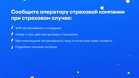 Что нужно для оформления страхового полиса в Детки