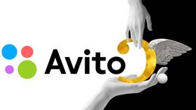 Что такое Авито Партнер в Детки