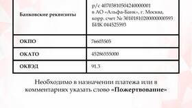 Что значит КПП в реквизитах в Детки