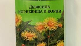 Девясил: инструкция по применению в Детки