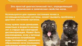 Для чего использовали мочу в Детки
