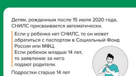 Для чего СНИЛС нужен в школе в Детки