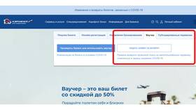 Как купить билеты через приложение Аэрофлот в Детки
