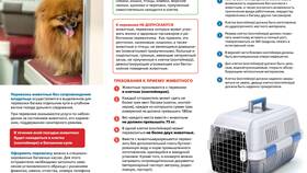 Как перевезти собаку в поезде РЖД в Детки