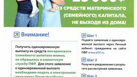 Как подать документы в Пенсионный фонд России (ПФР) в Детки