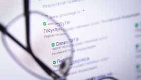 Как подать налоговую декларацию через Госуслуги в Детки