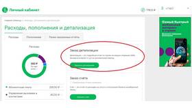 Как получить детализацию звонков в МегаФоне в Детки