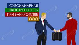 Как привлечь к субсидиарной ответственности учредителя ООО в Детки