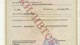 Как проверить ИНН организации на сайте налоговой в Детки