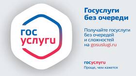 Как узнать реквизиты на портале Госуслуги в Детки