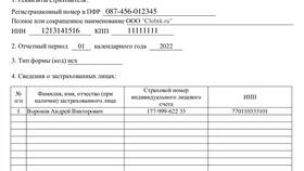 Как заполнить форму ЕФС-1 при ликвидации ООО в Детки