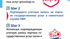 Как зарегистрироваться в ПФР как ИП в Детки