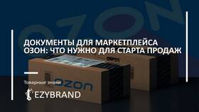 Когда появится товар на Ozon: сроки поступления и отслеживание в Детки