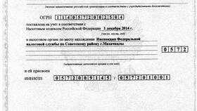 Общество с ограниченной ответственностью как юридическое лицо в Детки