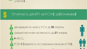 Отчетность ИП: что это и как она устроена в Детки