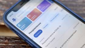 Почему Валберис просит Госуслуги в Детки