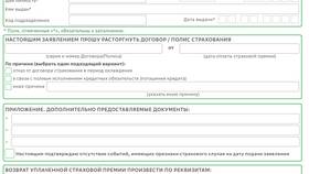 Причины отказа оплаты через СБП в Сбербанке в Детки