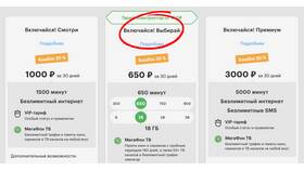 Сколько можно не платить за Мегафон в Детки