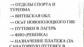 Справка о том, что ребенок не оздоравливался (образец для РБ) в Детки