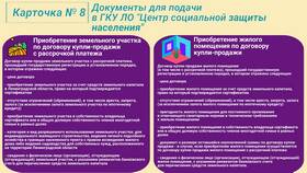 Справка об отсутствии карантина: назначение и получение в Детки