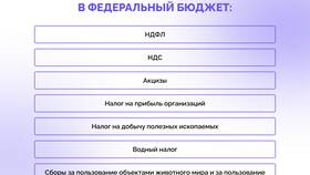 Зачем государству необходимы налоги в Детки